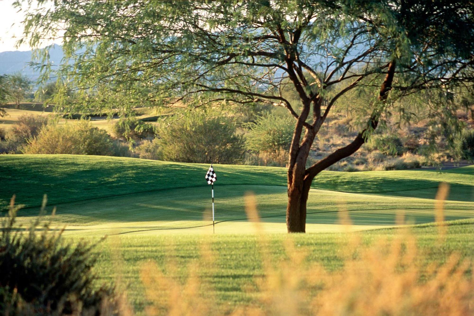 Sheraton Grand At Wild Horse Pass Chandler Εξωτερικό φωτογραφία